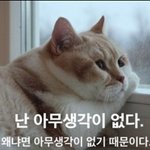 [조언부탁해] 친구관계 회의감 어쩌냐....