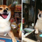 <b>k팝</b> 유튜버들 저작권 침해