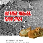 철거될 개농장, 그곳에서 쥐잡이로 살아왔던 아이들