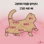 [드루와] <b>핏</b>예쁜 후드집업 없나ㅠㅠ