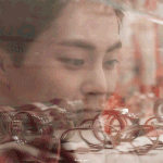 [시우민] <b>어항</b> 쳐다보는 고양이모드 된 시우민?