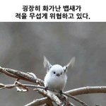 [드루와] 얘들아 나 선생님이 너무좋아ㅠㅠㅠㅠㅠㅠㅠㅠ