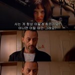 내 인생은 <b>레옹</b>을 보기전과 후로 나뉘는데