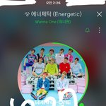 [워너원] 이거 둥이야?