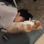 [방탄소년단] 와 나 타팬인데 이거 <b>어디</b>올라온 사진이야?