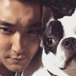 최시원 <b>살인견</b> 근황