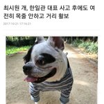 [드루와] 최시원네 진짜 미쳤나봐;