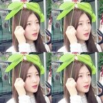 [추반] 너희라면 어디고 갈지 추반좀 해주라ㅠㅠㅠㅠ제발