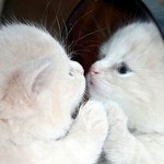 [드루와] 인생 잘가라 쉬이이<b>이벌</b>