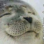 [댓글부탁해] 난태어나서반대를받아본적이없음 ㅋ