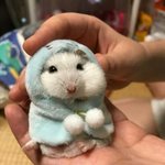 [댓글부탁해] 부산대,<b>서면</b>,남포동중에서 어디가 옷사기 좋아?
