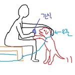 [방탈죄송] 강아지가 버릇없는애새끼를 물었는데 부모한테맞았어요