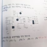 과학 유전 잘하는사람 ㅠㅠ