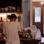 [댓글부탁해] 무한리필 알바 해번사람