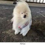 [댓글부탁해] 급해 들어와줘ㅠㅜ