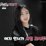 [댓글부탁해] <b>JYP</b> vs SM 차기걸그룹 비주얼멤버