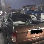 오픈되있는 (?) 트렁크에 <b>케이지</b>에 갖혀있어요 이거 신고를 하는게...