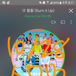 [워너원] 아니 애드라 들어와봐
