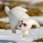 [댓글부탁해] 트위터리안 판녀들아 <b>플</b><b>텍</b>멘션 고소가능 ???