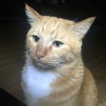 [더유닛] 더유닛 <b>취지</b>가 뭐임?????