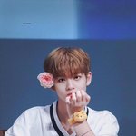 [배진영] 500 즐찾기념 짤<b>투척</b>