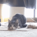 [댓글부탁해] 남자친구가 <b>사복</b> 어떻게 입었으면 좋겠어?