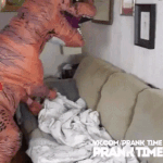 대구 사는 애<b>두당</b> 구제옷 살만한 곳 추천 추천 좀,,