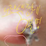 [댓글부탁해] 귀가 어떻게 된거 같아 ;-