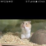 [드루와] 얼굴 붓기 빼는법좀 ㅈㅂ급해