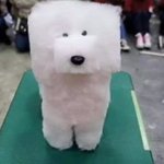 반 <b>단합</b>때 강당(체육관)에서 할 수 있는거 추천 해줘