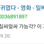 일베 미친거 아니냐