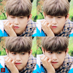 [박우진] <b>바구</b>딘개귀여워