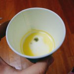 며칠전부터 있던 우유 <b>치즈</b>됨 질문받는다