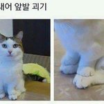 [드루와] ㅁㅊ나 남친이랑 189일인데