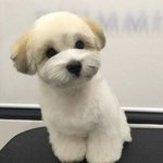 [댓글부탁해] 와 이거 <b>실화</b>냐;;;;