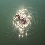 찍어 놓고 보니 <b>뿌듯</b>한 사진들