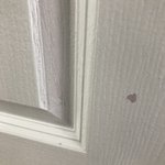 [꼭조언부탁] 전세집 페인트 시공 후 스트레스만 쌓이네요.. 조언부탁