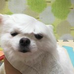 우리 <b>흑</b><b>역사</b> 썰 풀고가자