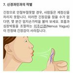 내가 새벽마다 듣는 <b>피리</b>소리가