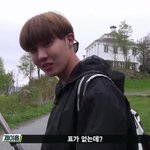 [방탄소년단] 현 이삐들 상황