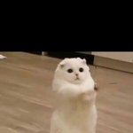 <b>애정</b>결핍인애들 특징 좀 알려주라!