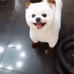 [댓글부탁해] 나 그짤좀 찾아주라ㅠㅜㅠㅜ