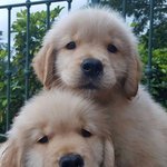 근데 <b>이특</b>이랑 강타랑 좀 닮지않음?