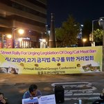 제29차 개.고양이 유기.학대.도살금지 특별법 제정을 <b>소망</b>하는 목요집회