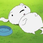 [댓글부탁해] 여고 내신 따기 어렵냐 ㄹㅇ <b>명쾌</b>한 대답 좀