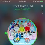 [워너원] 워너원 요안녕 뉴짤