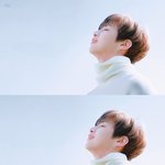 [강다니엘] 필독) 녤 팬코 주의!! 팀팬톡 제보 링크 추가~