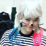 [BAP] 젤 인별 댓글