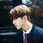 [골든차일드] 오늘 한림차일드 반응 <b>폭발적</b>