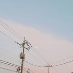 [댓글부탁해] 나6광탈했는데 재수하면 미친년일까